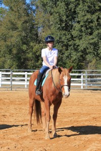 Group riding lessons are a great opportunity for riders to learn ring etiquette and practice for horse shows.