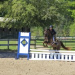 Another blue ribbon hunter round for Portia aboard CV Equestrian's own Cash for Gold, a flashy large Welsh pony.