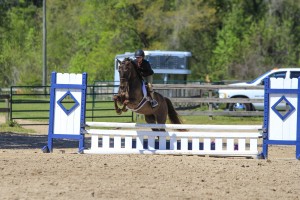 CV Equestrian Riders Demonstrate Their Skills