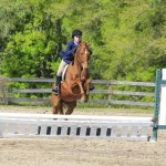 It's easy to see why this chestnut thoroughbred mare and her rider are so successful!