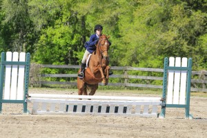 It's easy to see why this chestnut thoroughbred mare and her rider are so successful!