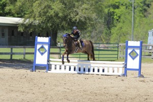 Portia riding her pony through a rollback turn in the puddle jumper class representing CV Equestrian from Panama City.