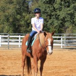 Group riding lessons are a great opportunity for riders to learn ring etiquette and practice for horse shows.