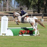 Freckles competing in Mini Medal Equitation