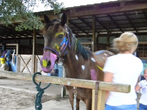Thoroughbred horse, Jersey, being painted at a summer horse camp.