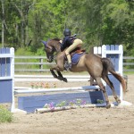 Welsh Pony, Cash, jumping in the puddle jumper class at Cavallo Farms.