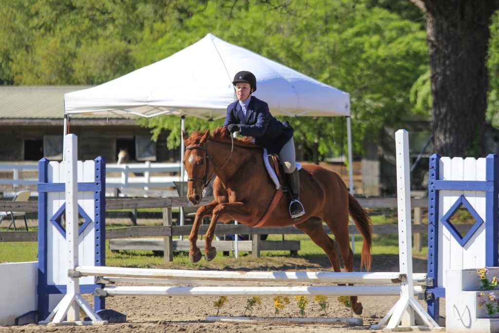 Apricot Glow ridden by CV Equestrian riding student Anna Kay Bass showing in the 2'3" Hunter division at Cavallo Farms.
