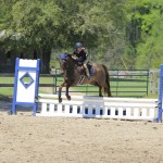 Portia riding her pony through a rollback turn in the puddle jumper class representing CV Equestrian from Panama City.