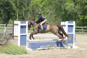 Another clean jump on her pony for Portia.