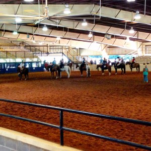 Horses line up to be judged in a western pleasure class at the DGAHA horse show.